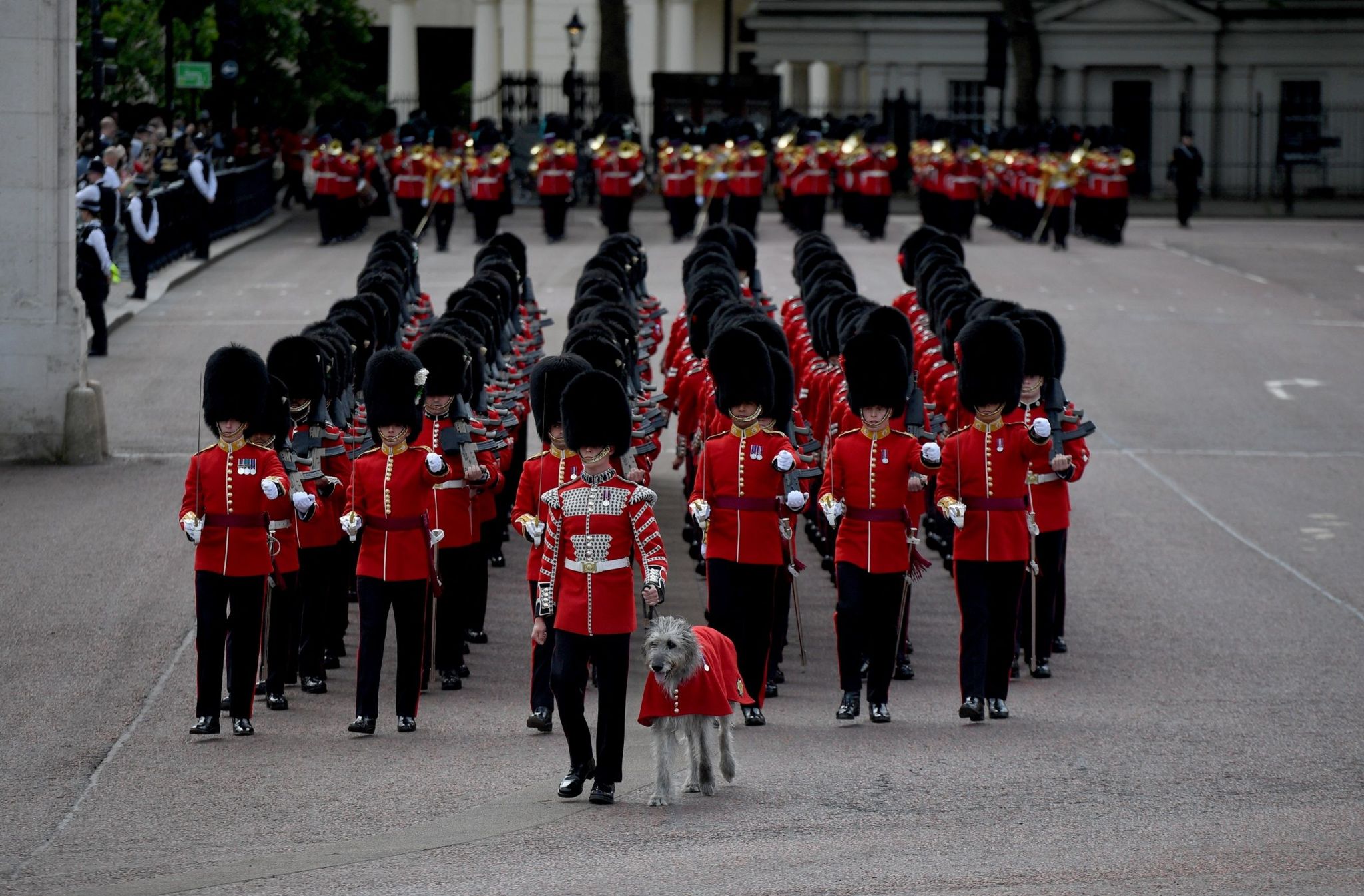 Members of the Household Cavalry march with Irish Guards mascot dog Turlough Mor (Seamus)