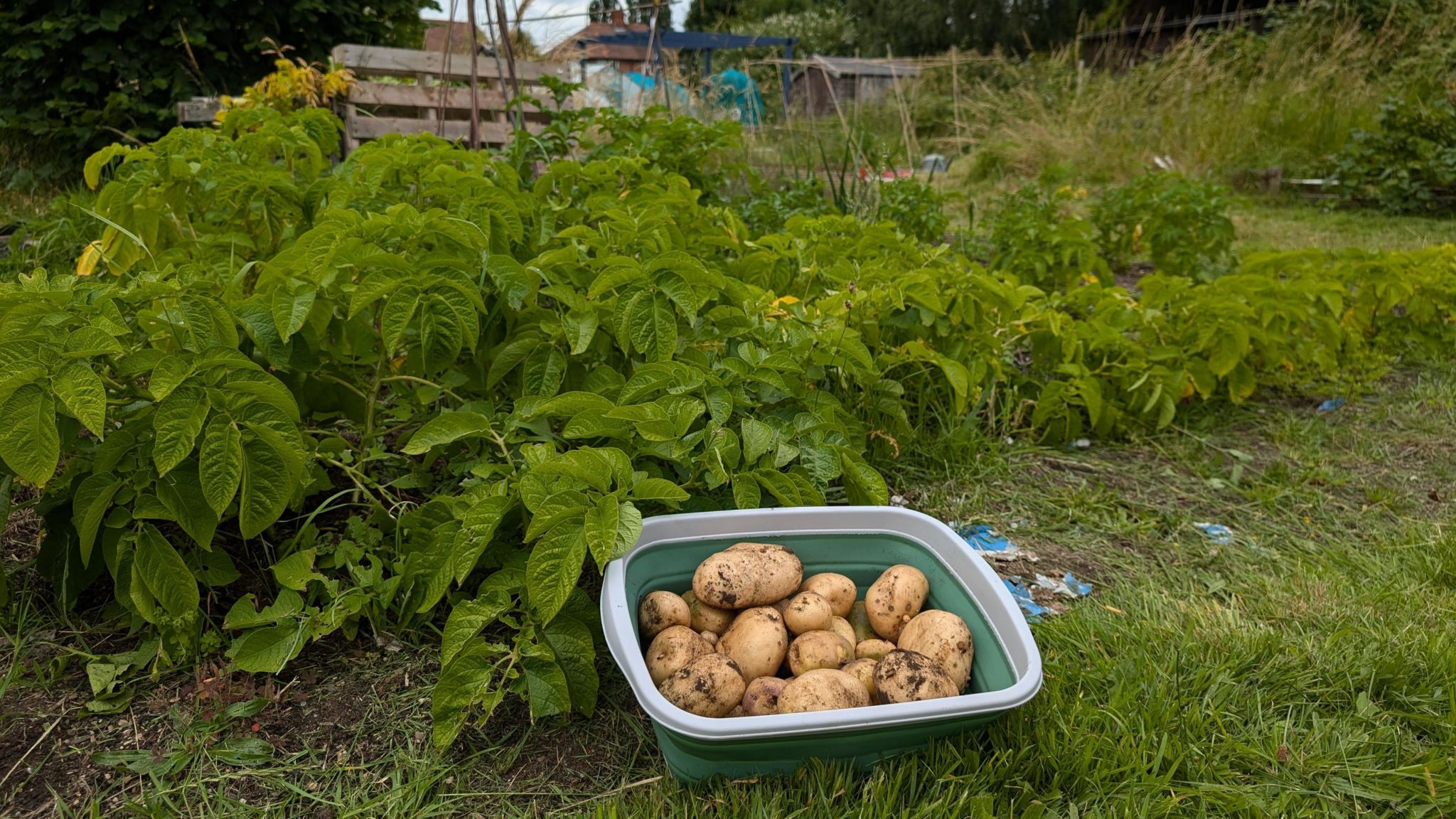 Allotments