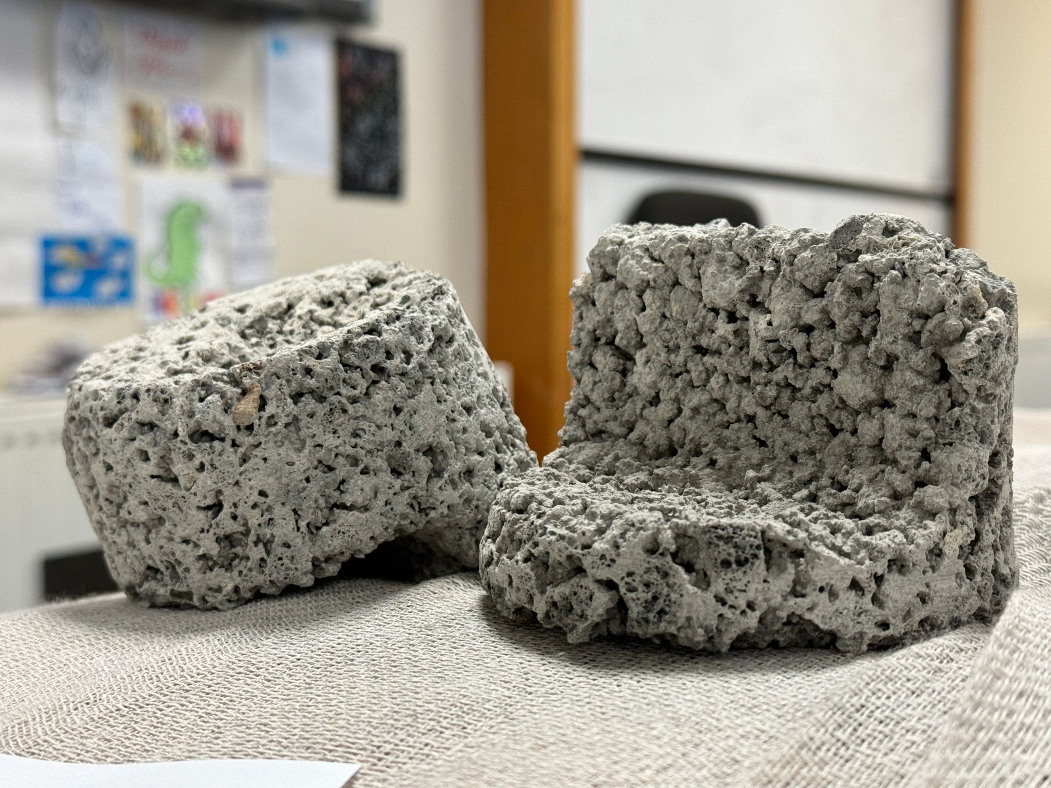Samples of concrete taking from a ceiling at Churchill Community College