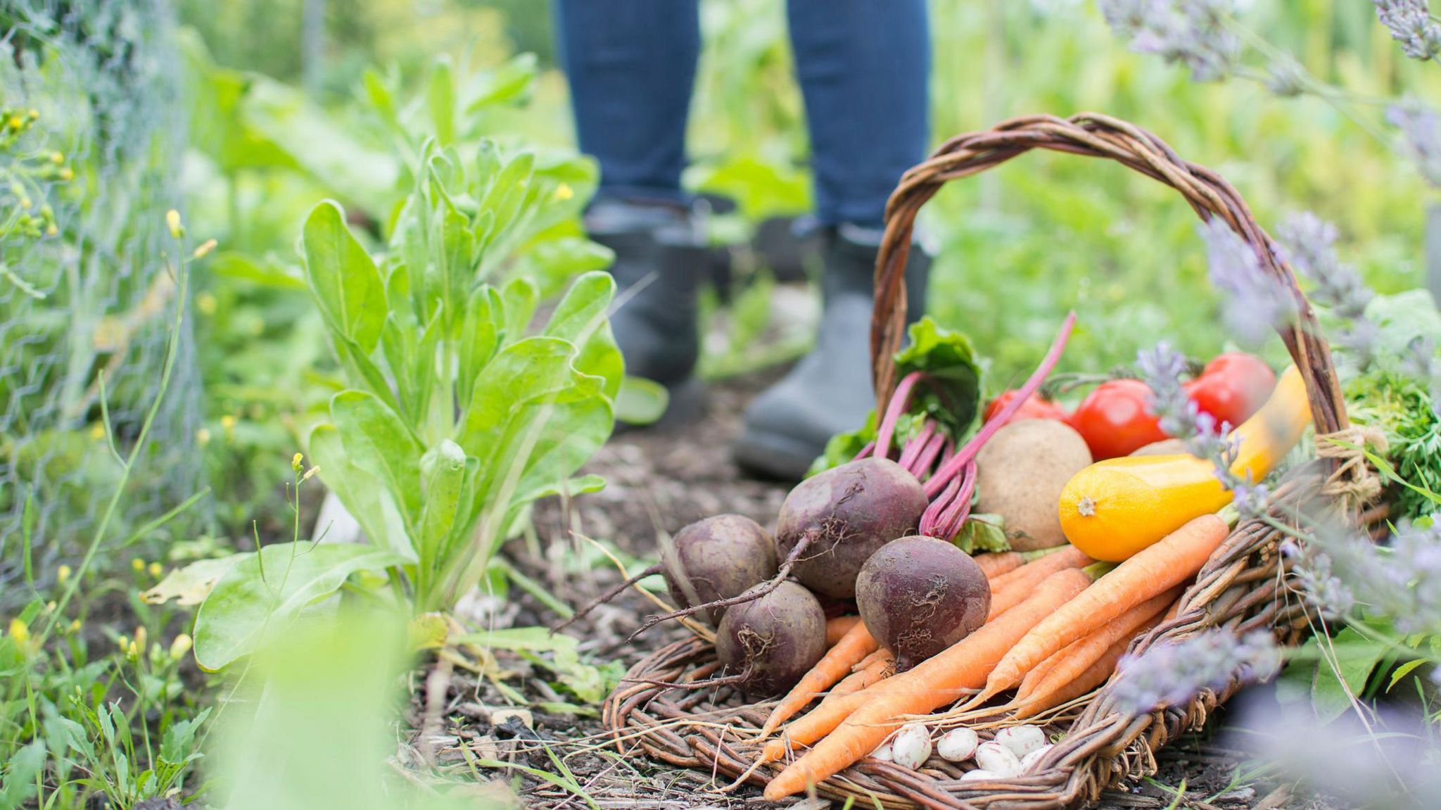 A basket on the ground, full of fresh vegetables 