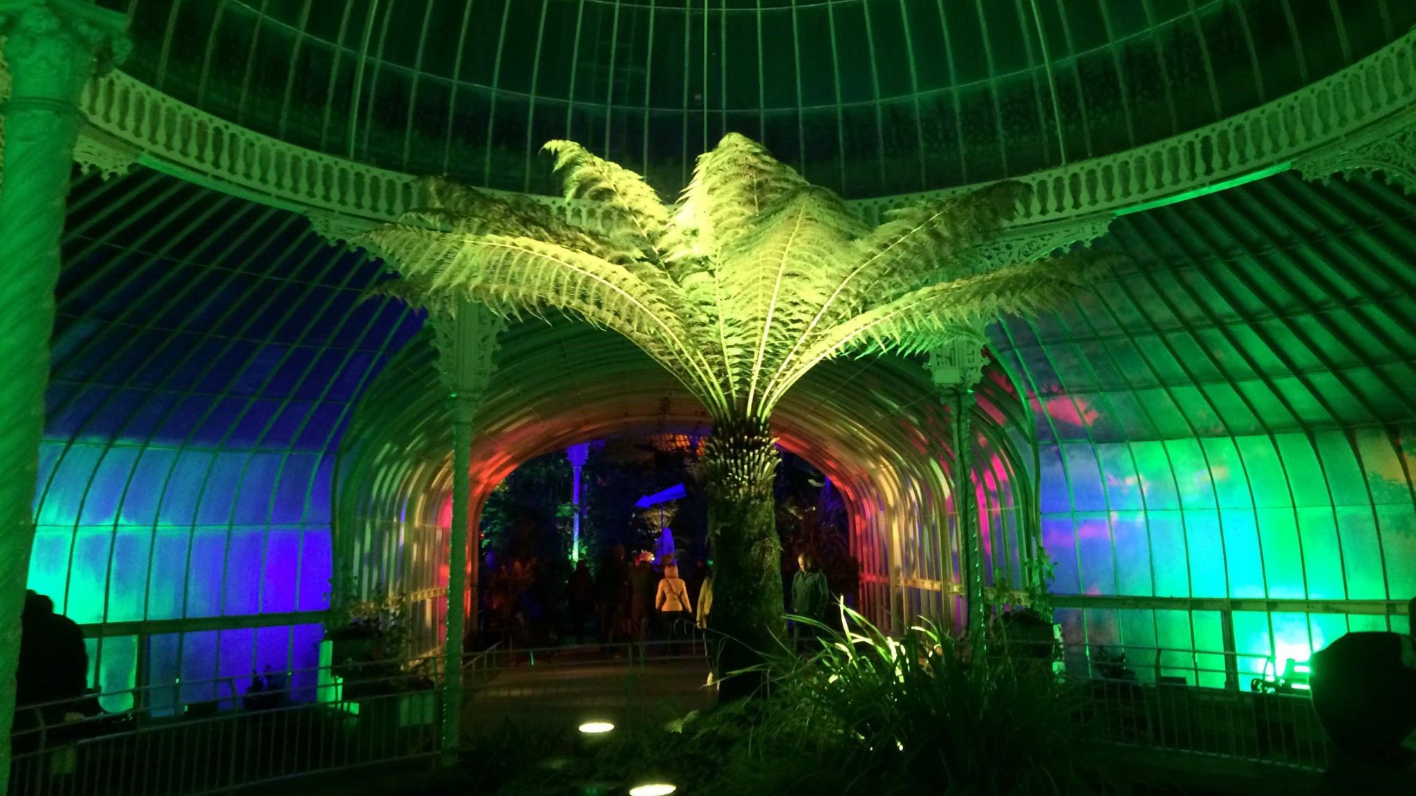 kibble palace during Glasglow