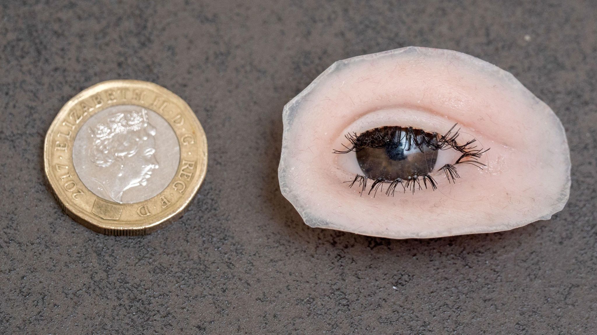 The prosthetic eye to the right of the camera, next to a £1 coin to the left, which shows a similar size 