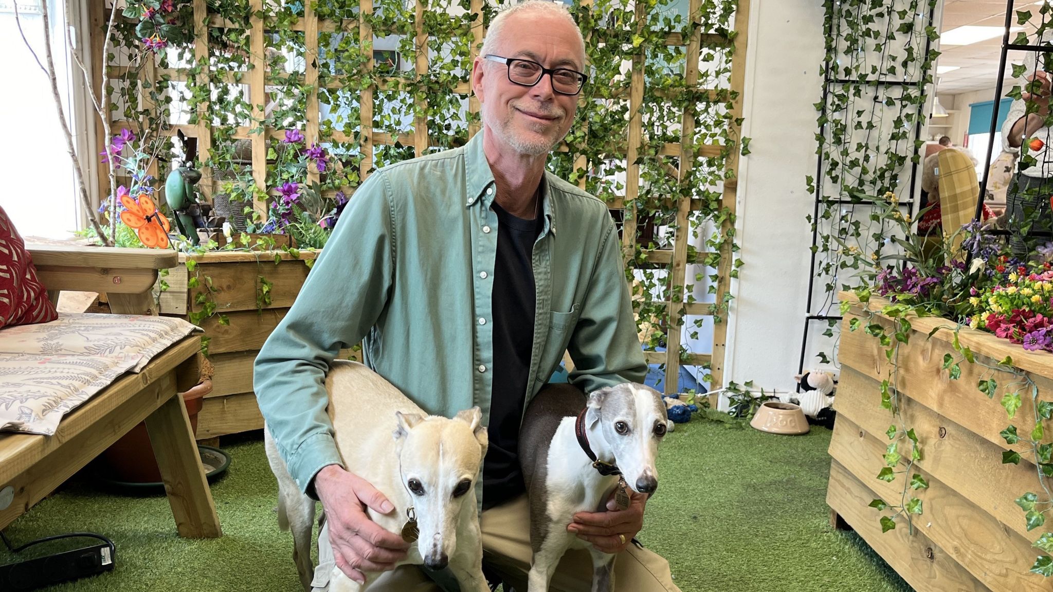 Grant Newton with his dogs - tan whippet Higby and grey and white whippet Dottie who roam free as therapy dogs