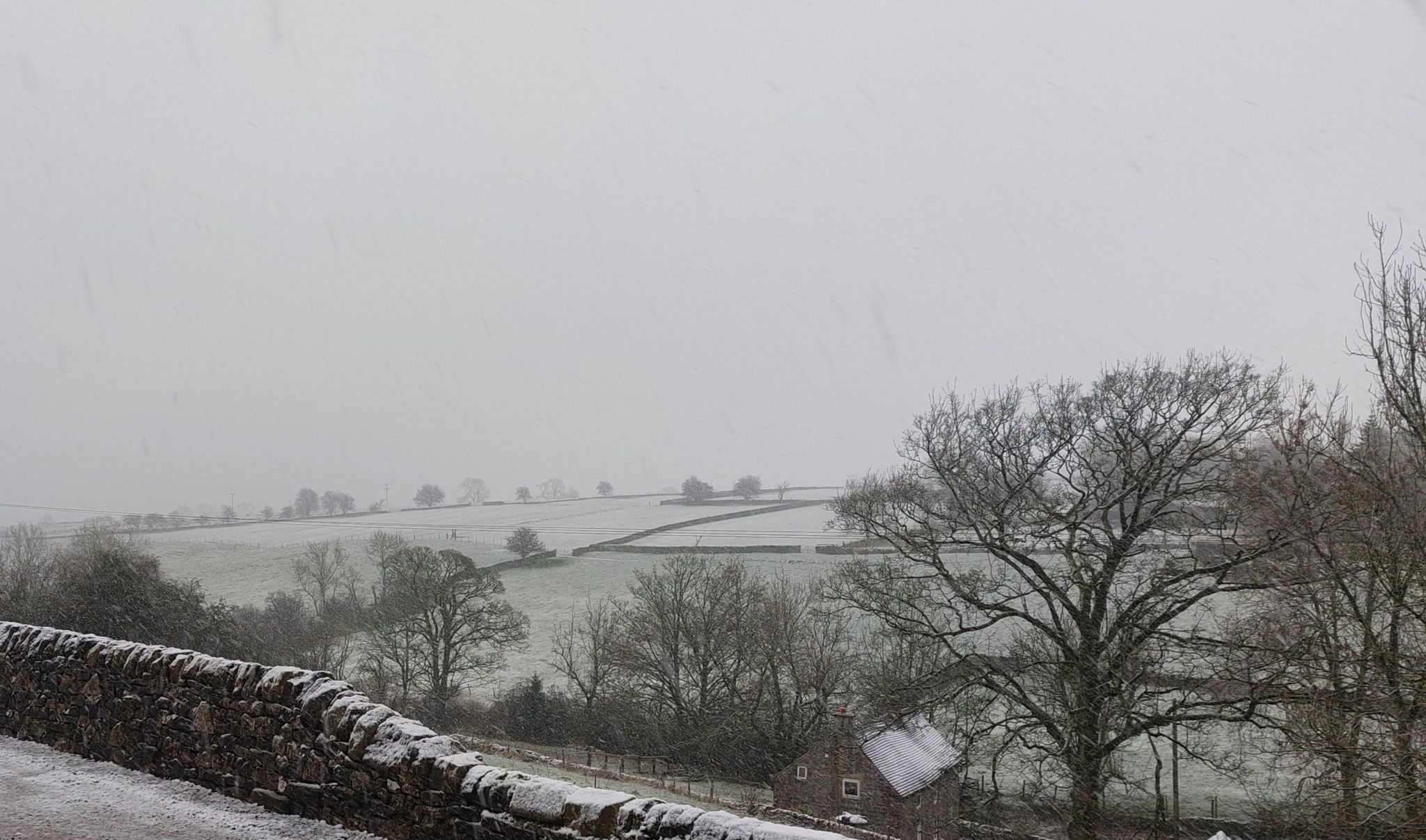 Snow on fields