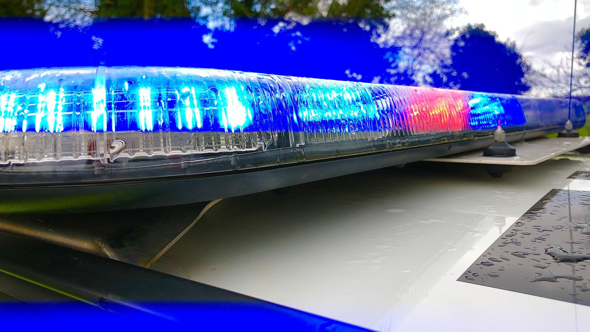 Blue lights on the roof of a police vehicle with tree visible in the background