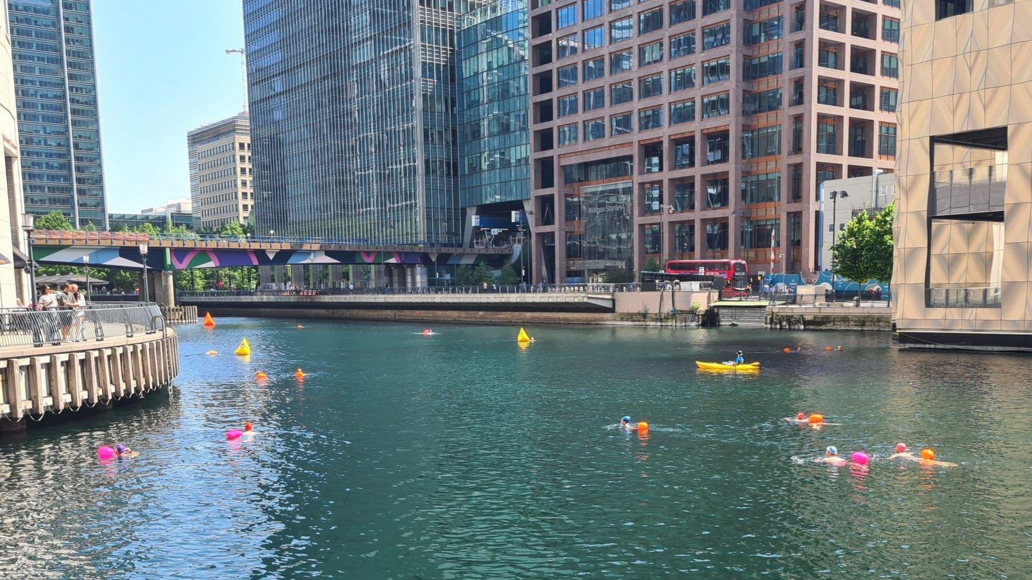 Swimmers in water at Canary Wharf with tall glass-fronted buildings in the background along with a bridge