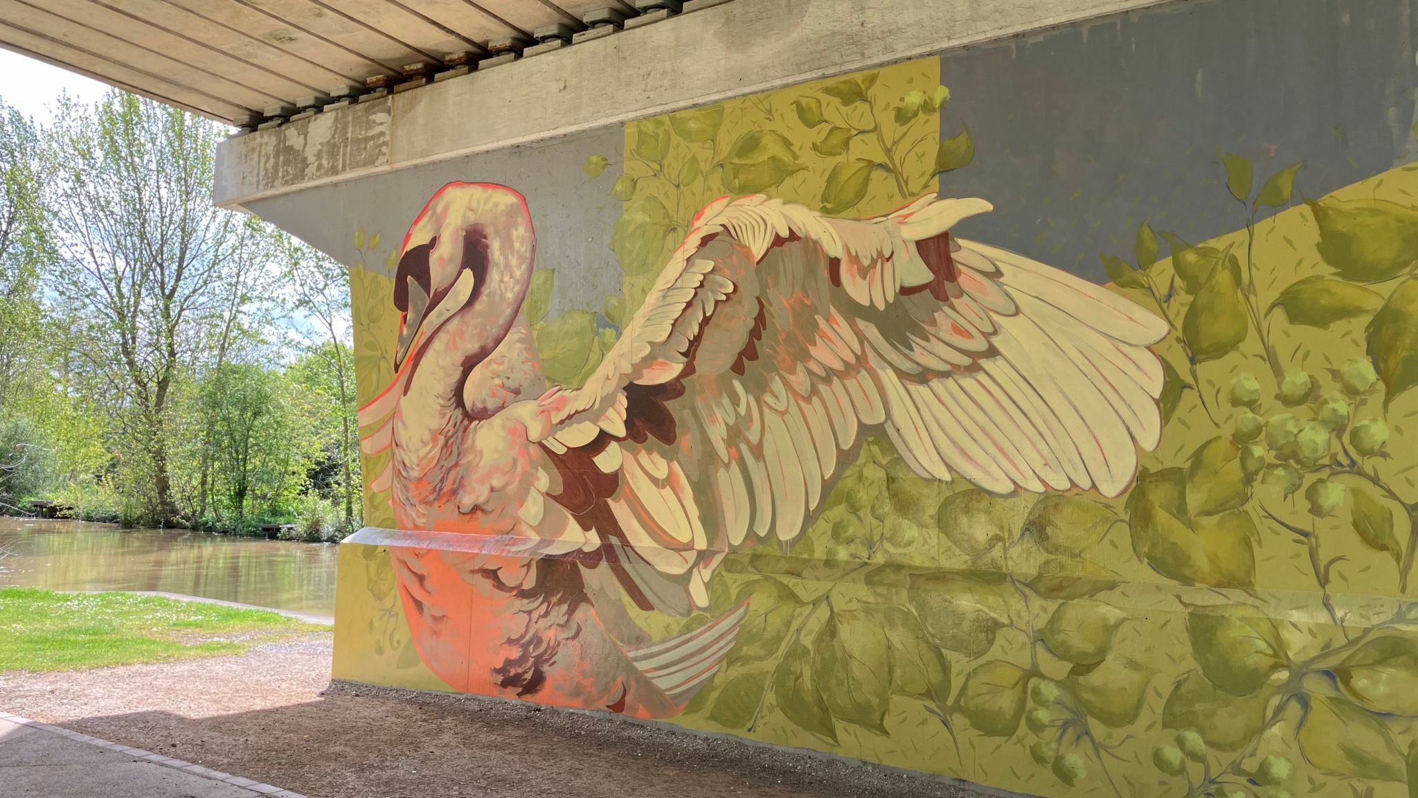 A swan mural painted on the underside of the bridge over the Beverley beck