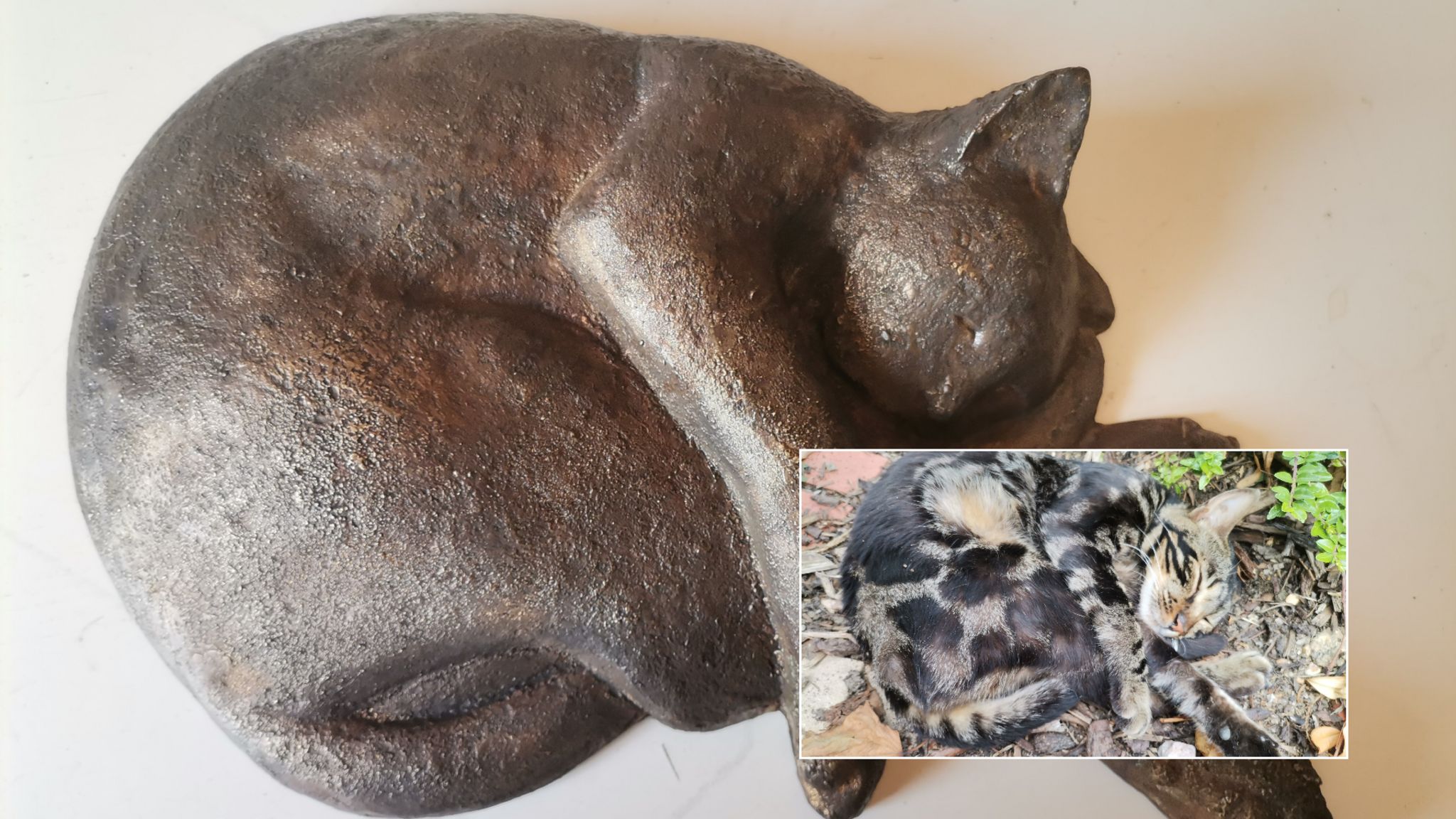 a bronze sculpture of a cat, next to a photo of Tilly in the same position
