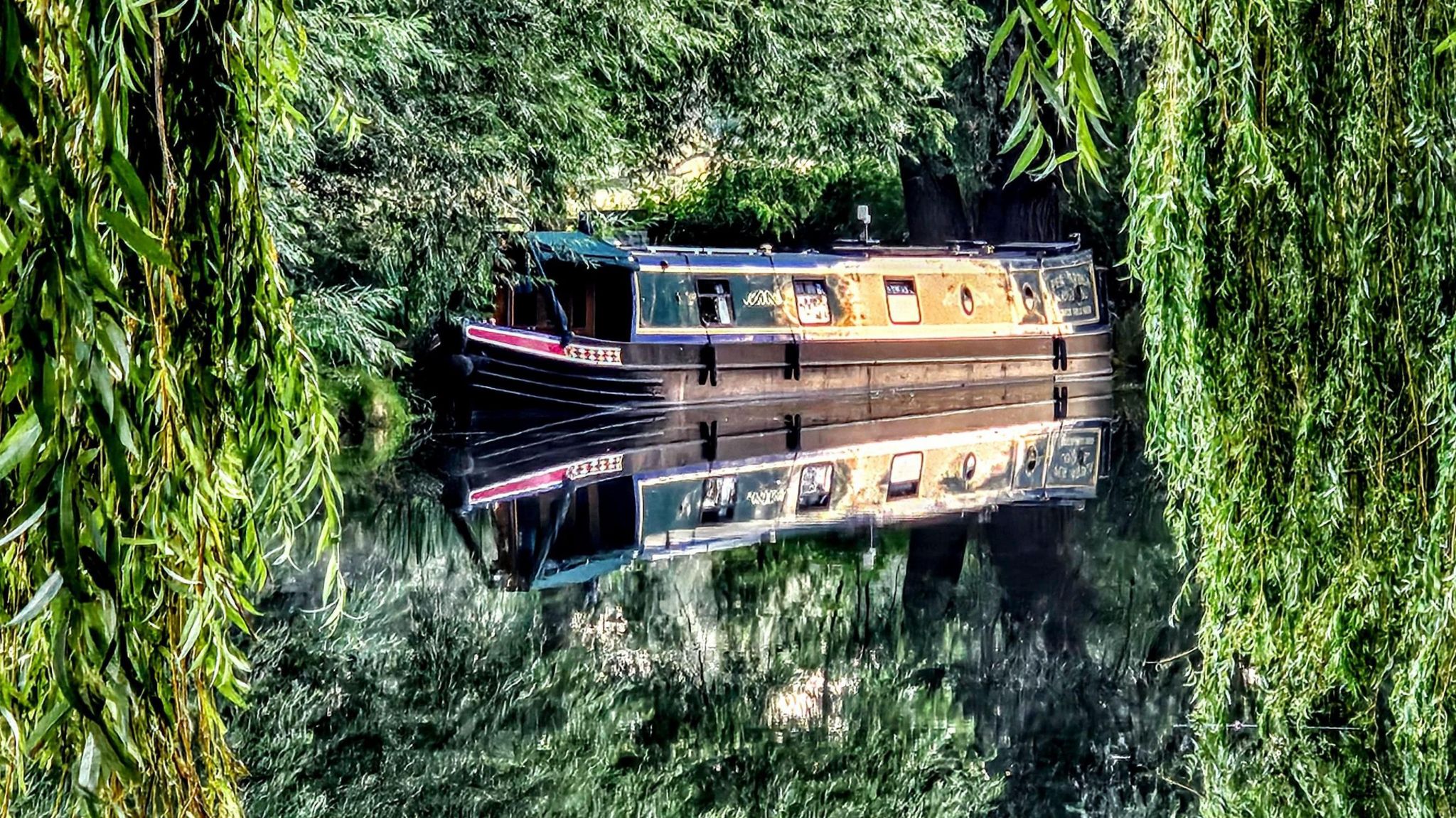 A narrow boat moored against a river edge, fringed by weeping willows, reflected in the water