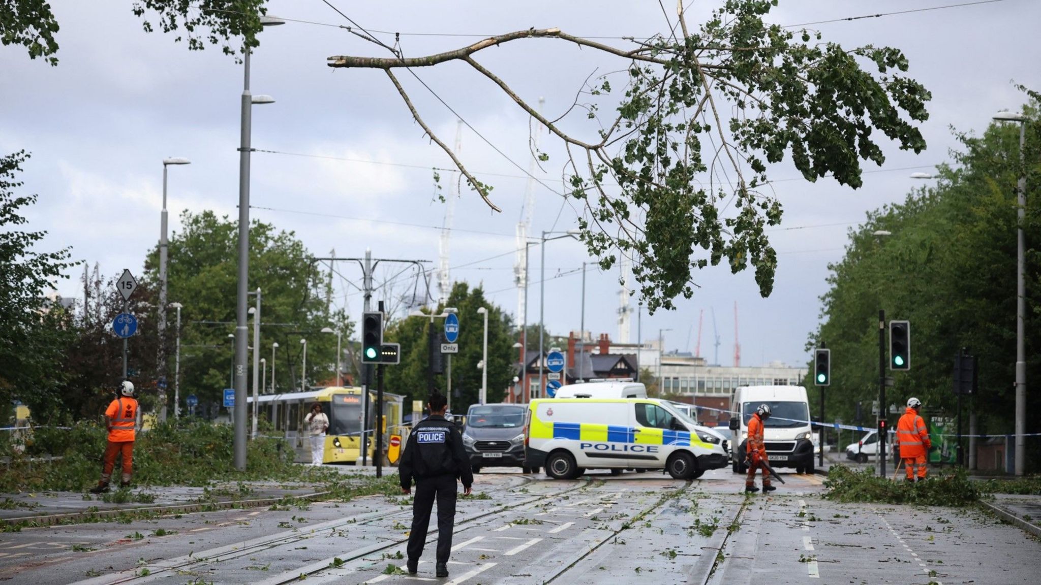 Emergency workers removing fallen tree branches from tram lines