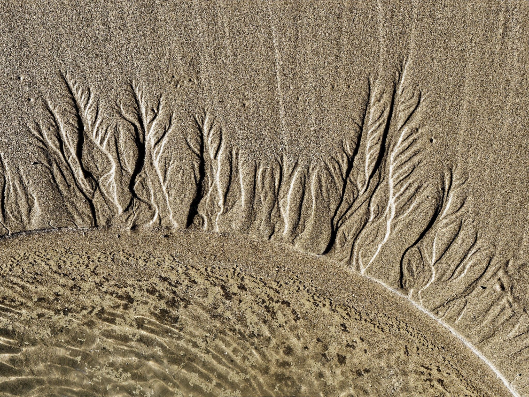 RiIpple shapes in sand