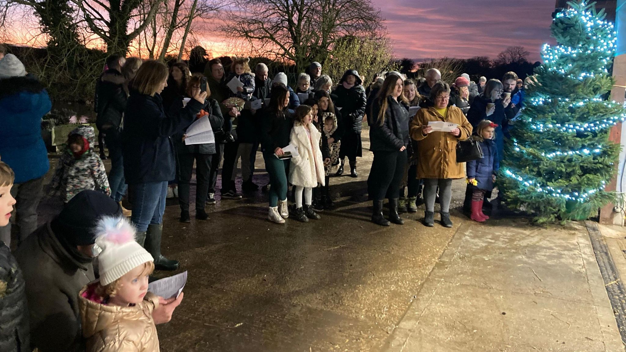 Families at a Carols with the Cows event in Norfolk