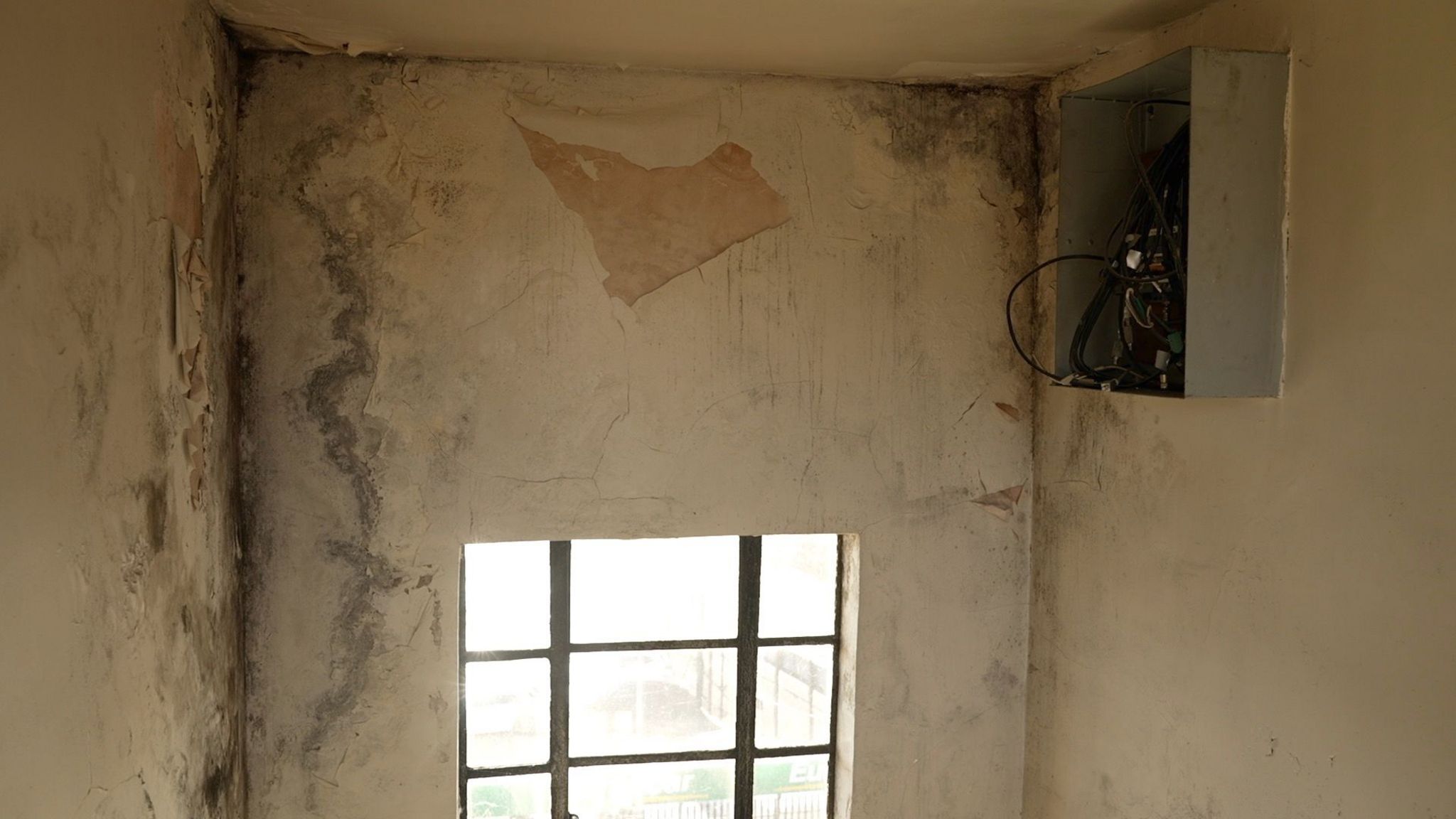 A window surrounded by mould and mildew with paint peeling from the wall