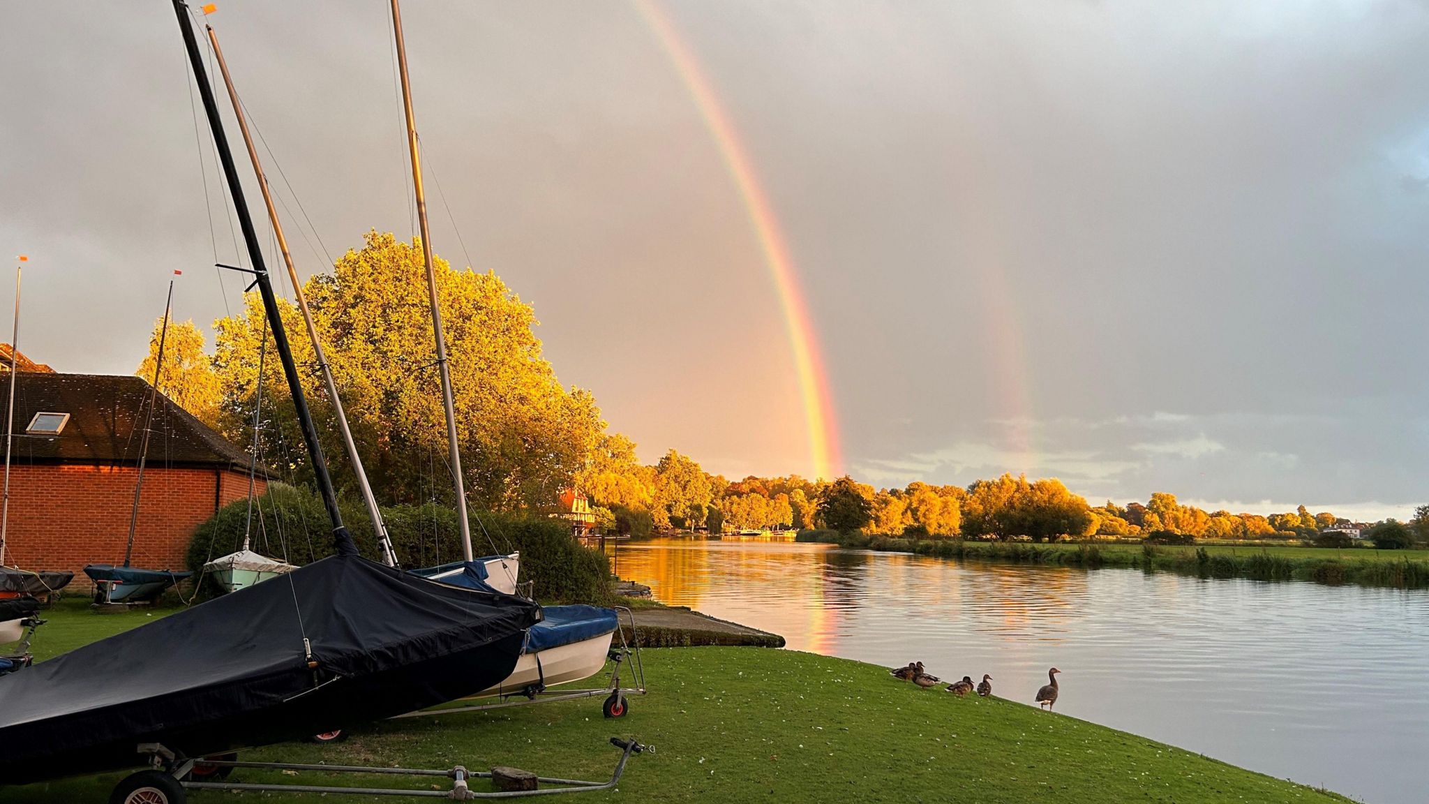 A rainbow against grey clouds over a river. There are two small white sailing dinghys on the bank and a small wooden building. There are five brown ducks sat on the river bank that is grass. There are trees on the horizon that are lit by sunlight. 