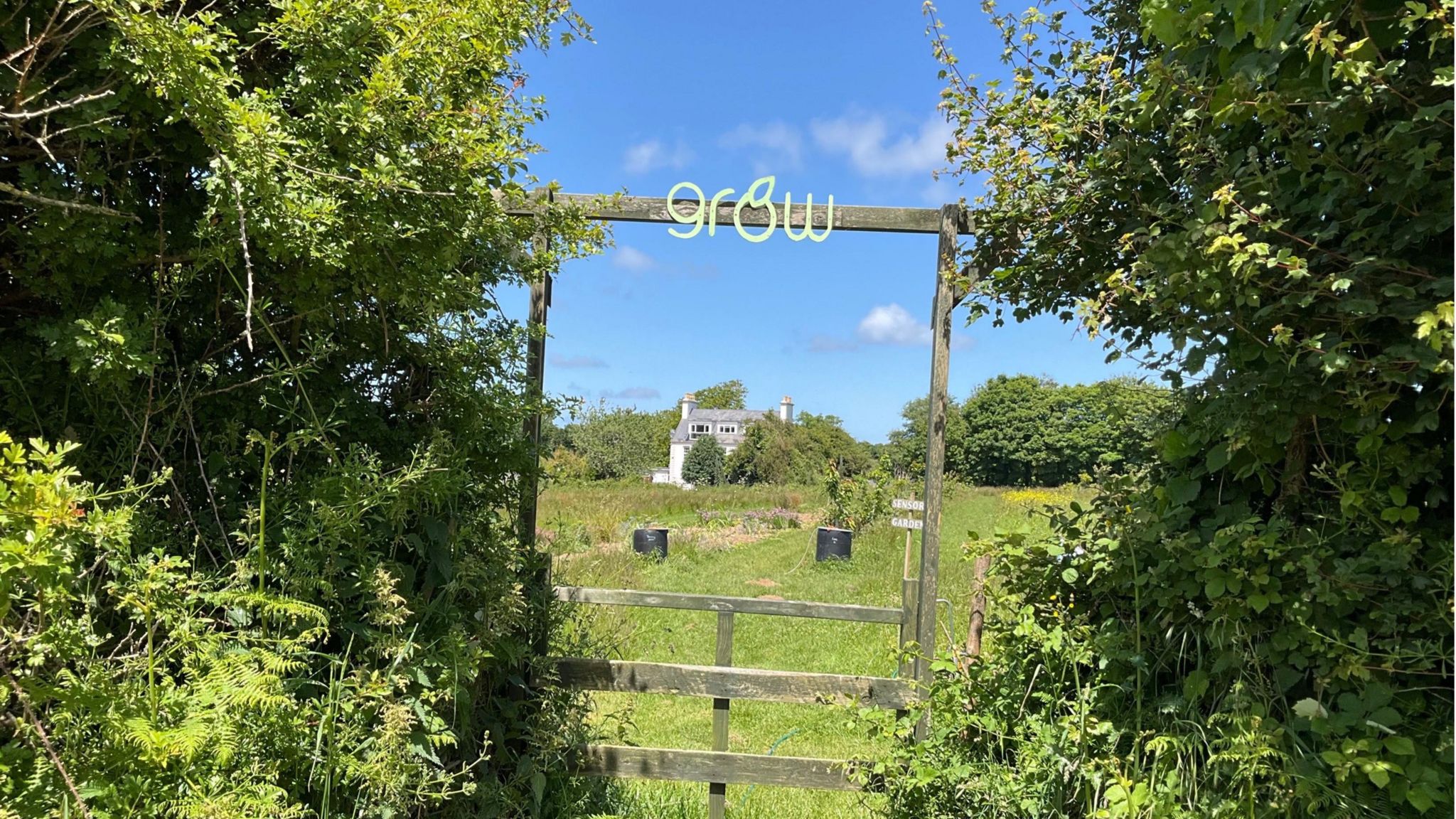 Plans for Jersey Grow forest school given goahead BBC News