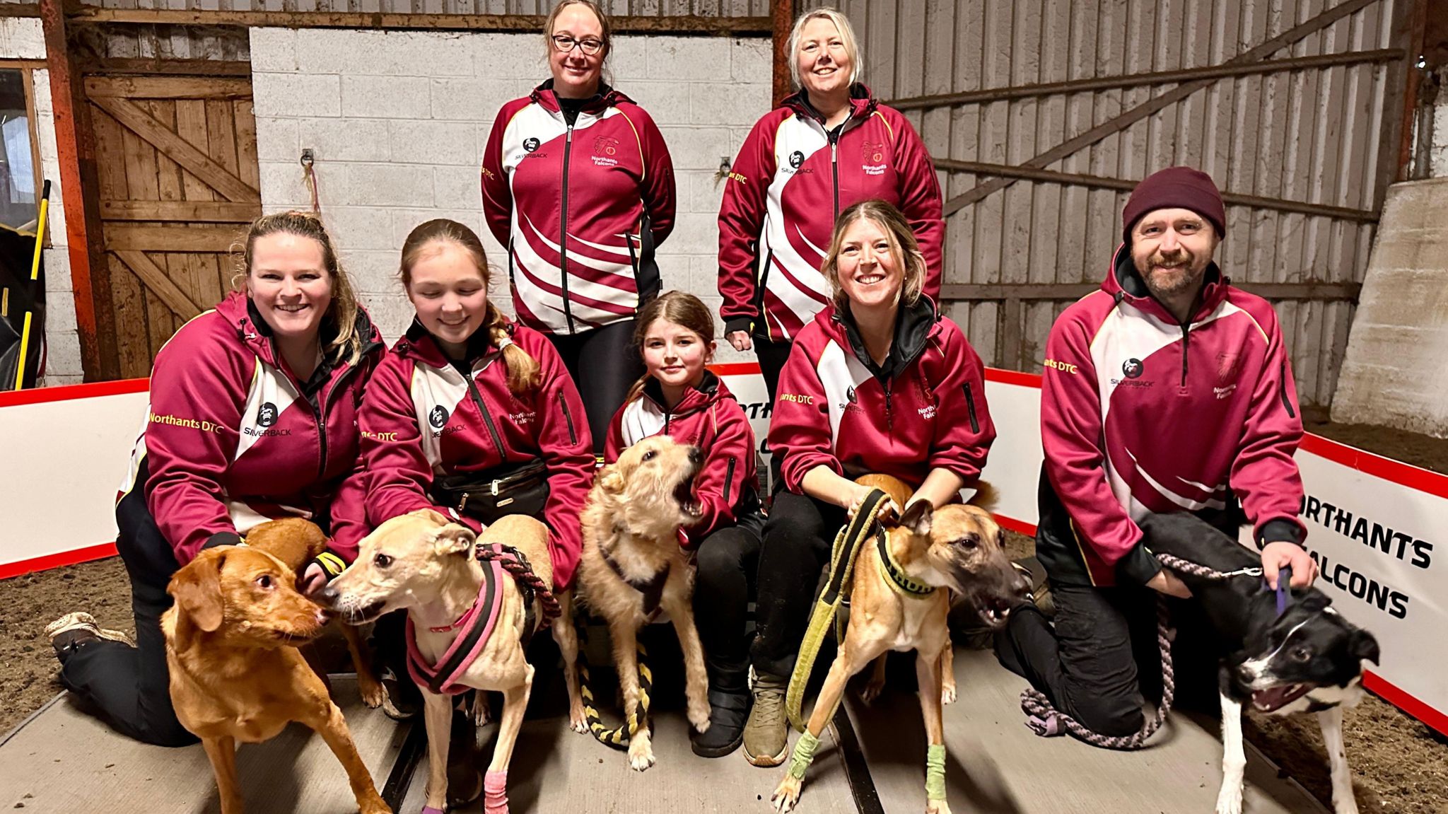 The six person flyball team with their dogs - five cross breed and one pure breed