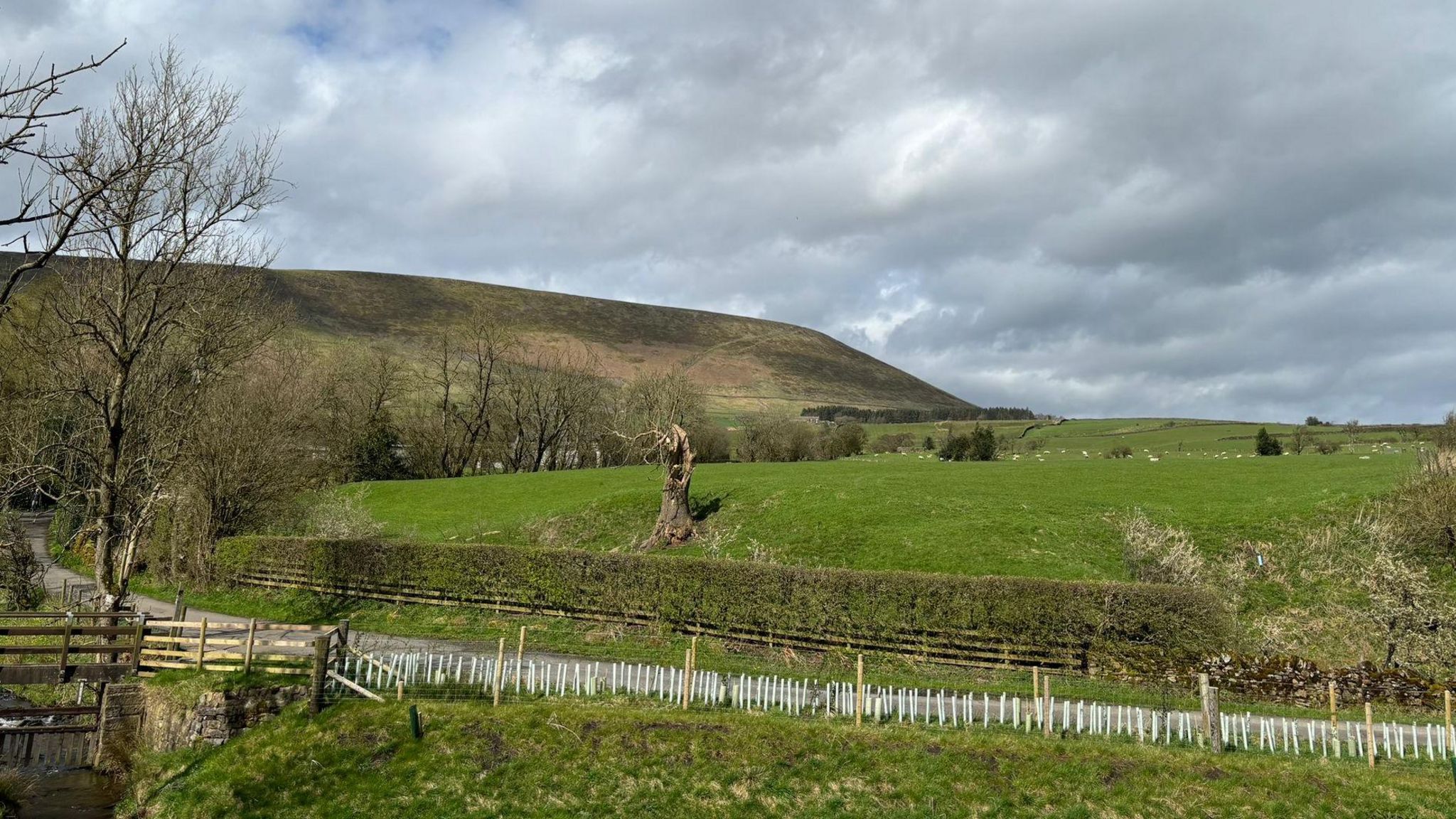 Pendle Hill 