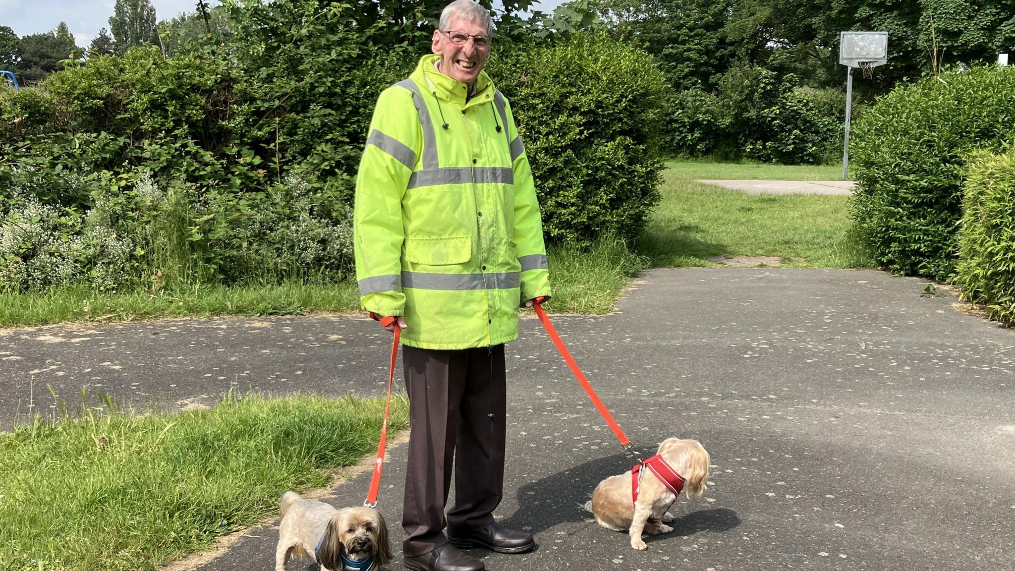 Dog owner wearing florescent yellow coat walking two small dogs on sturdy leads