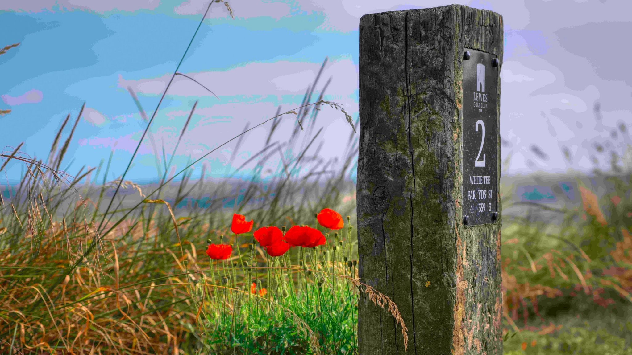 A wooden marker on a golf course next to some red wildflowers.