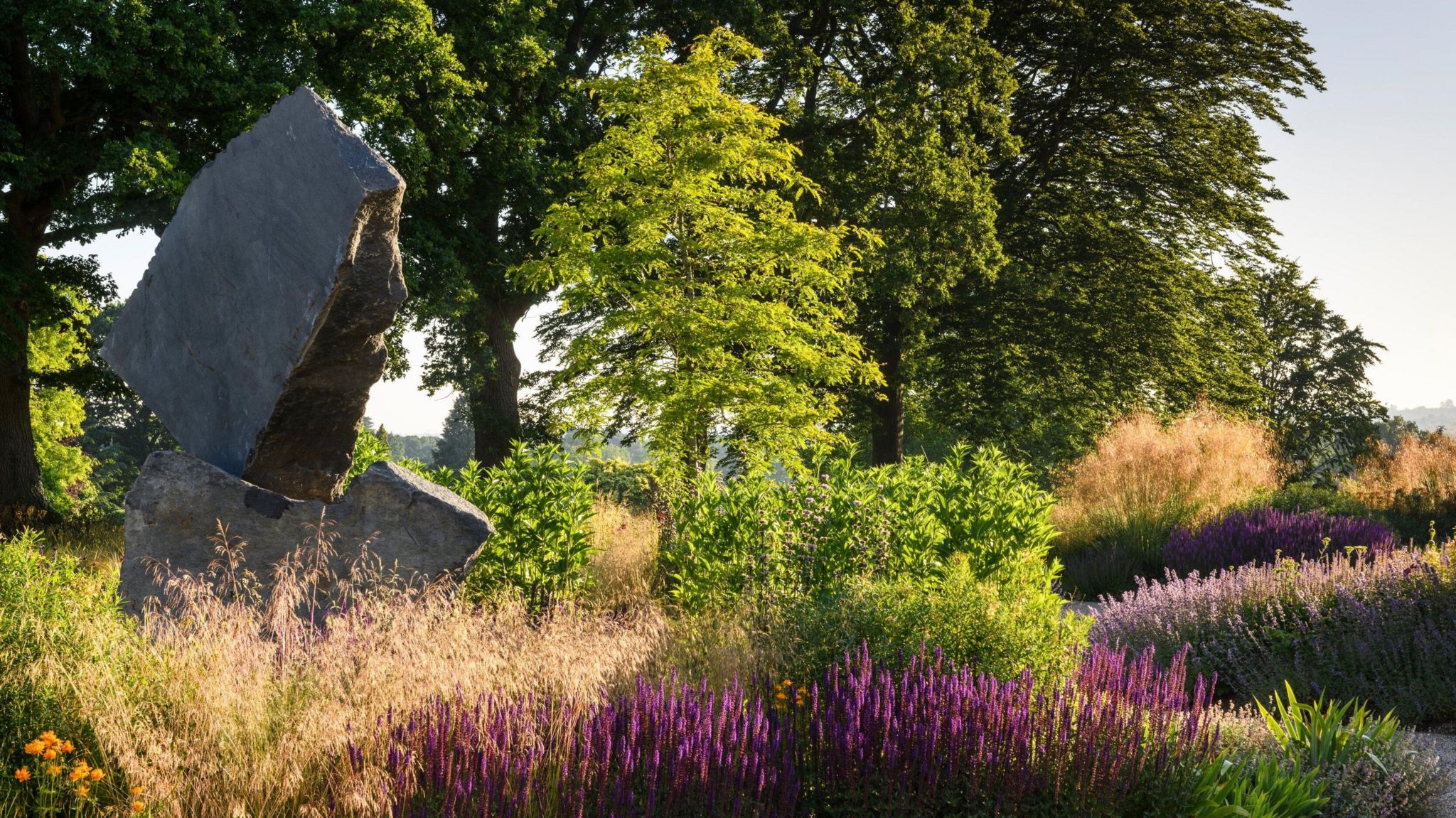 Wellbeing Garden at RHS Wisley