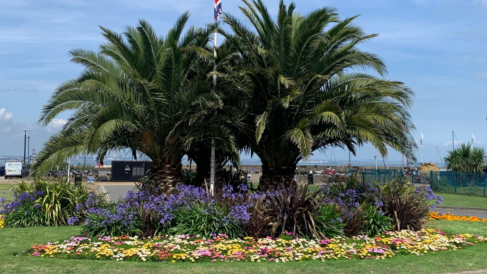 Two palm trees dominate the picture with purple agapanthus hanging over a bed of red, yellow and pink flowers. If you look carefully in the background you can just see the south coast across the Solent.