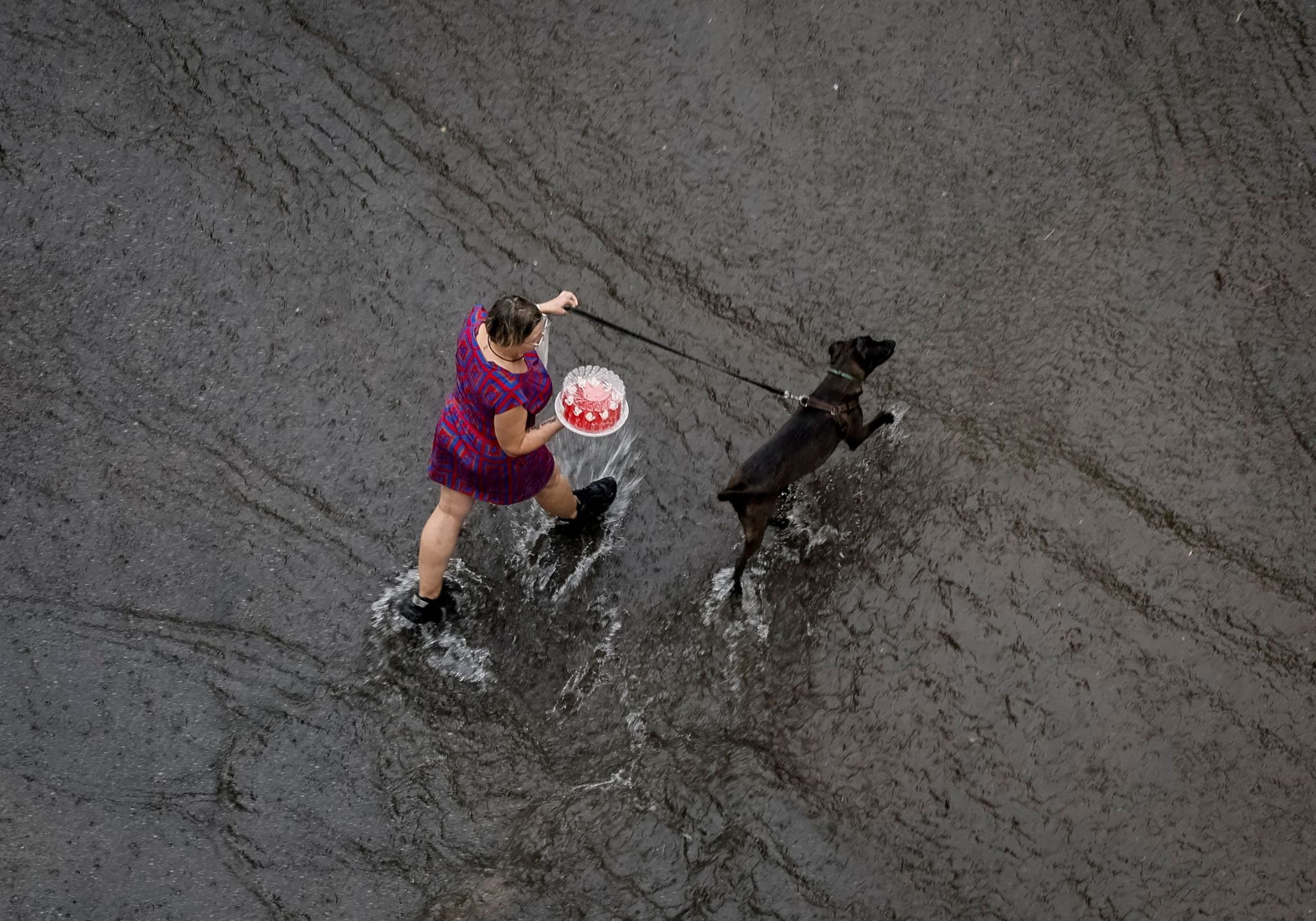 A woman carries a cake while walking her dog