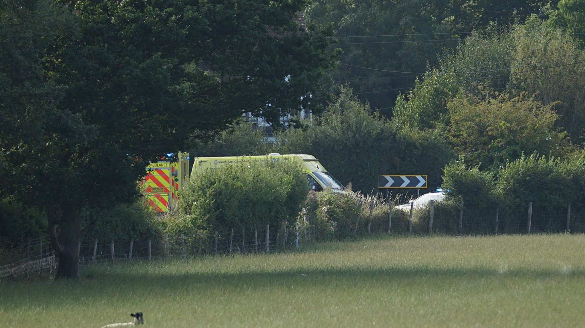 Two ambulances behind hedges, trees and a field