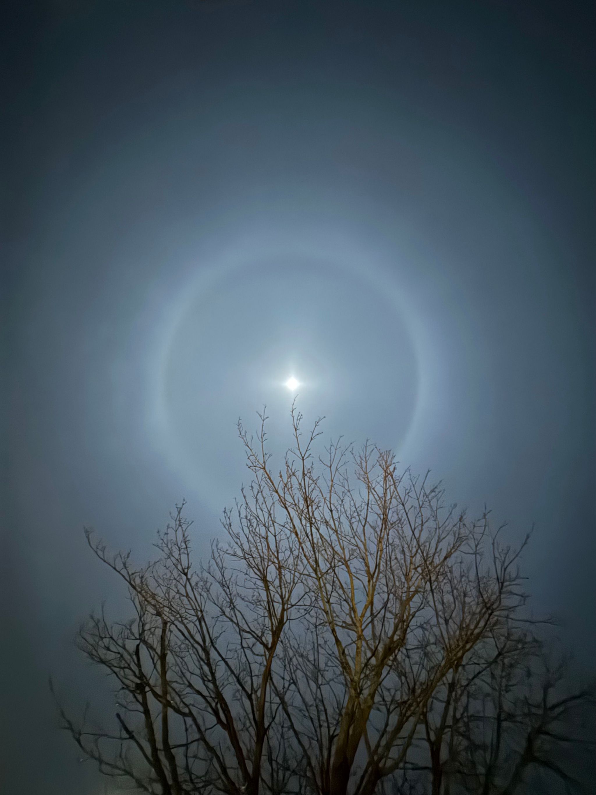 In pictures Cold Moon over Scotland BBC News