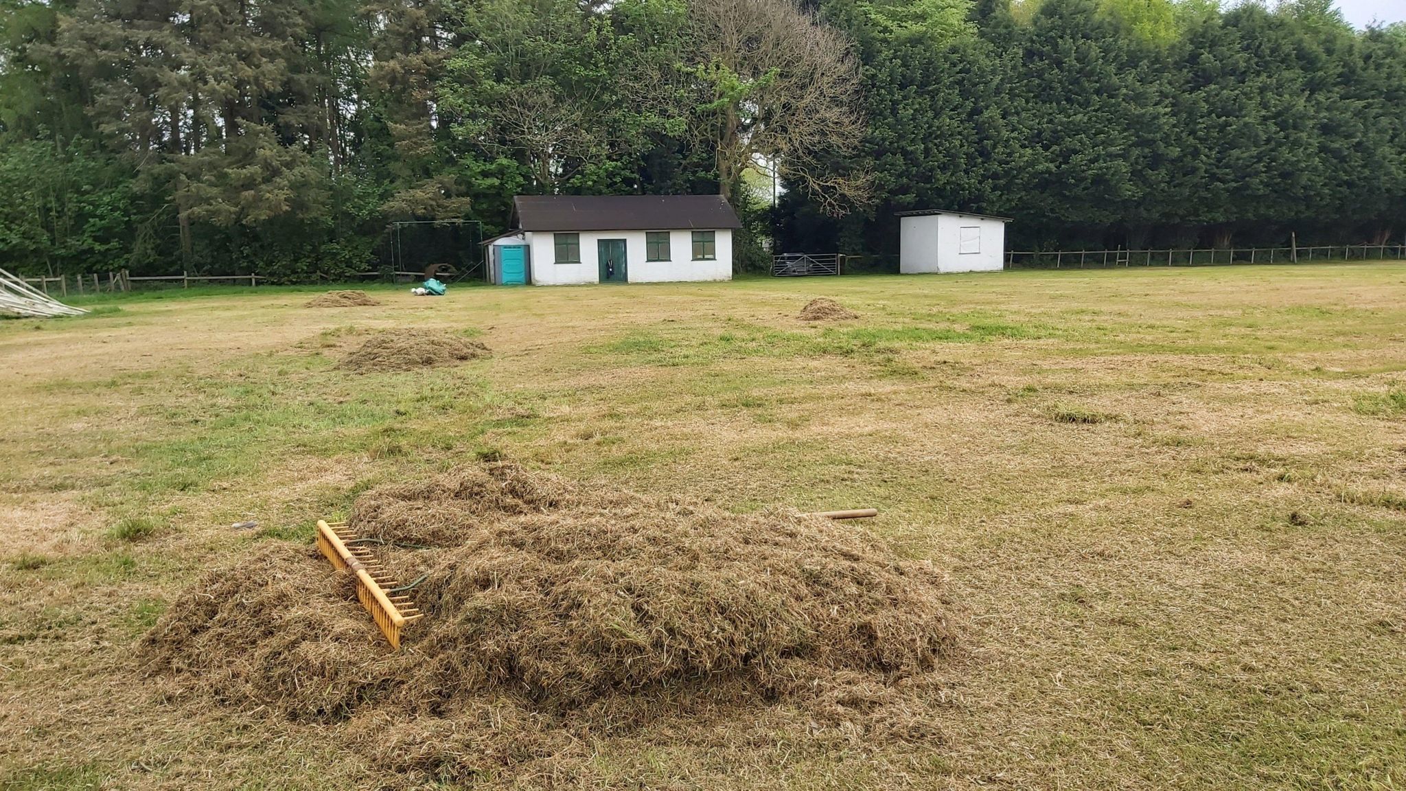 Grass cuttings raked together into a pile