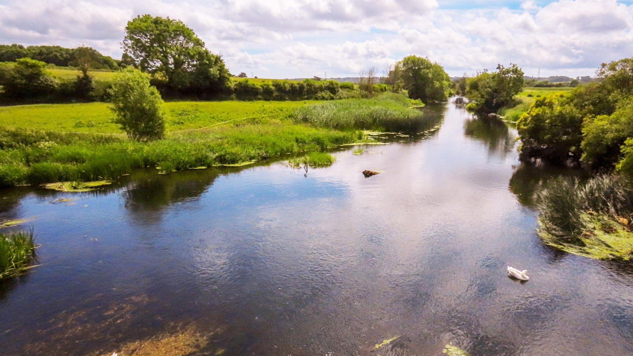 A river flowing through a field at Sturminster Marshall