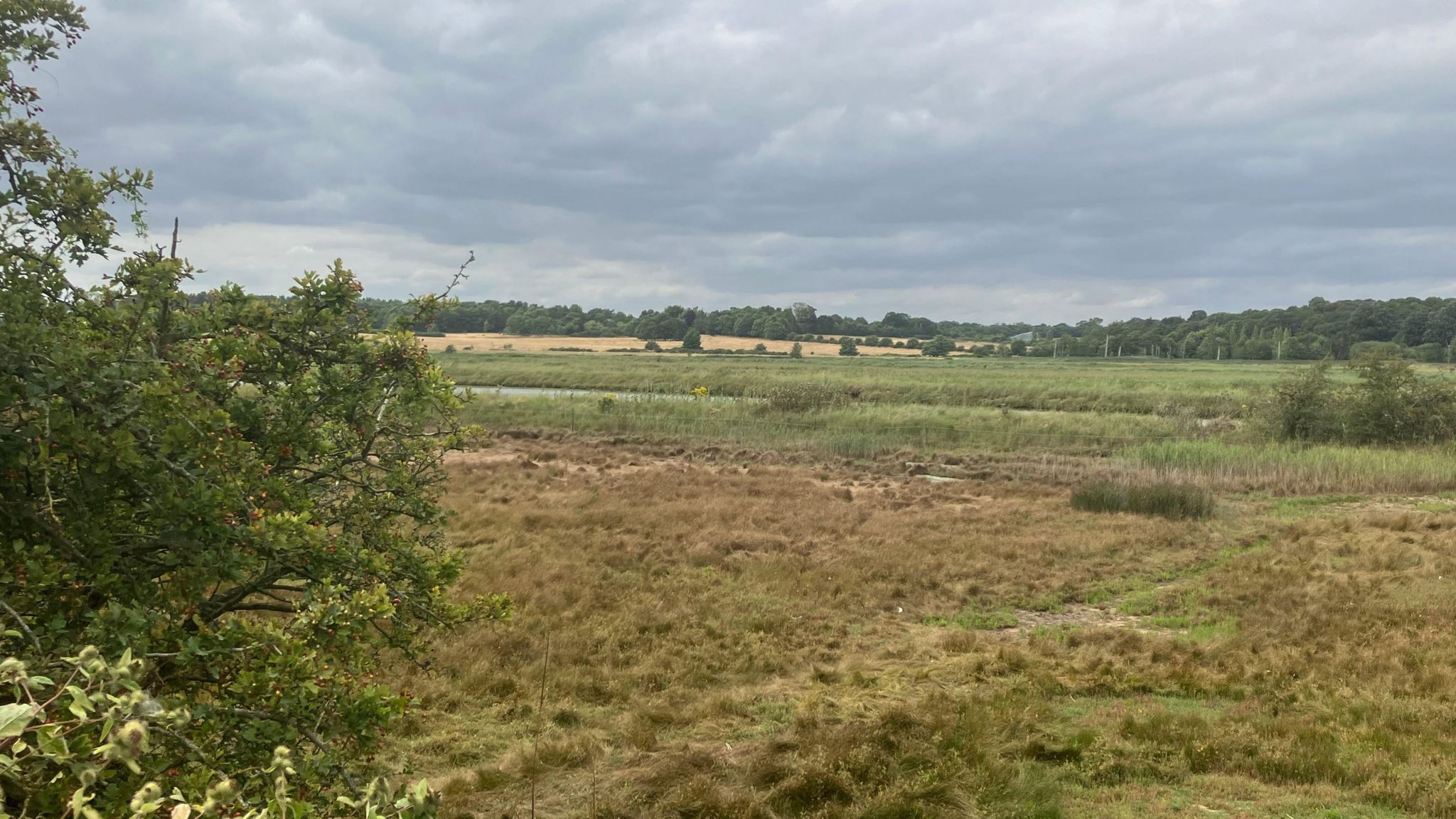 The landscape of the River Blyth showing trees in the background and grass in the foreground  