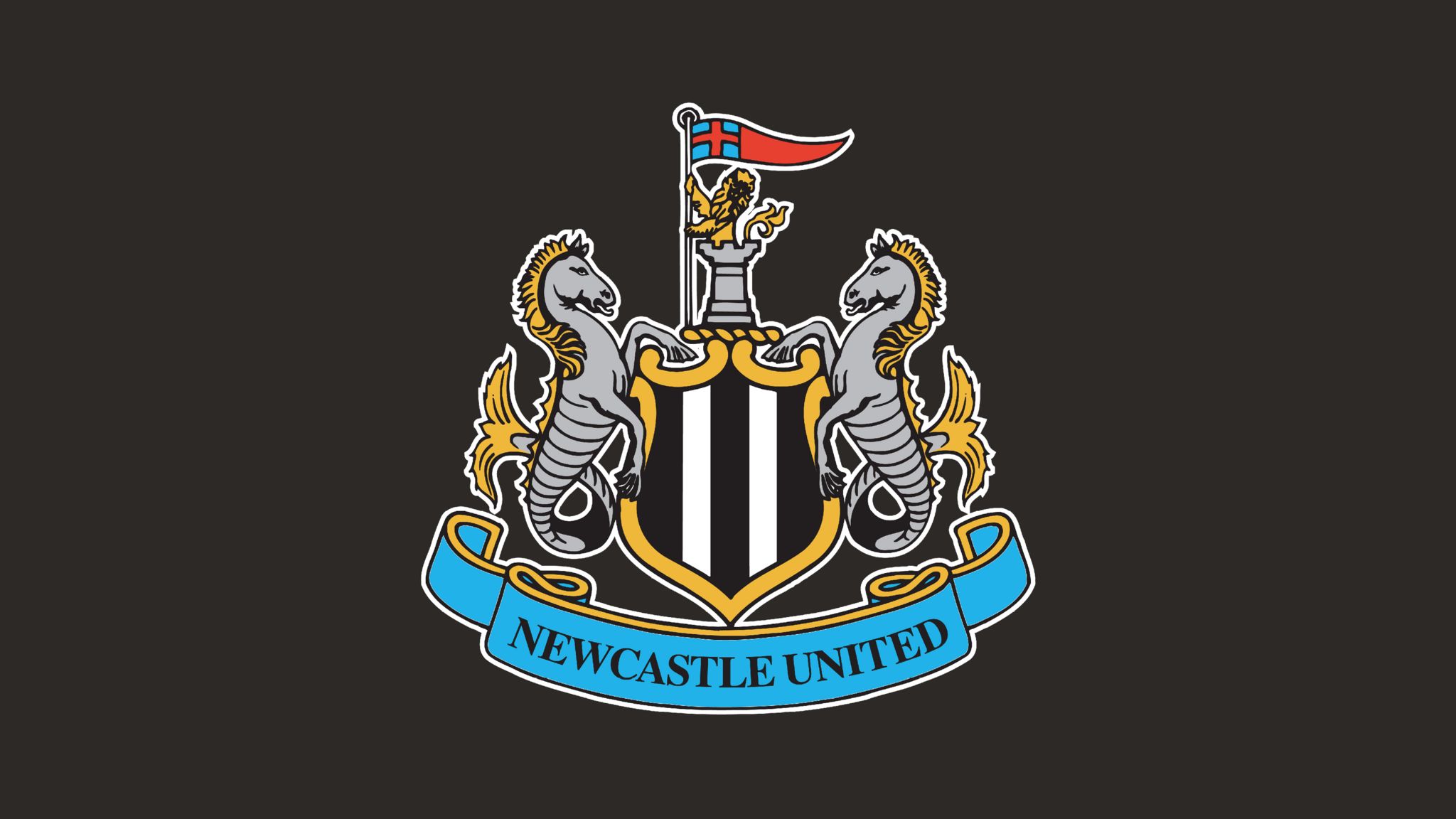 Newcastle United to a Q&A on the Magpies BBC Sport