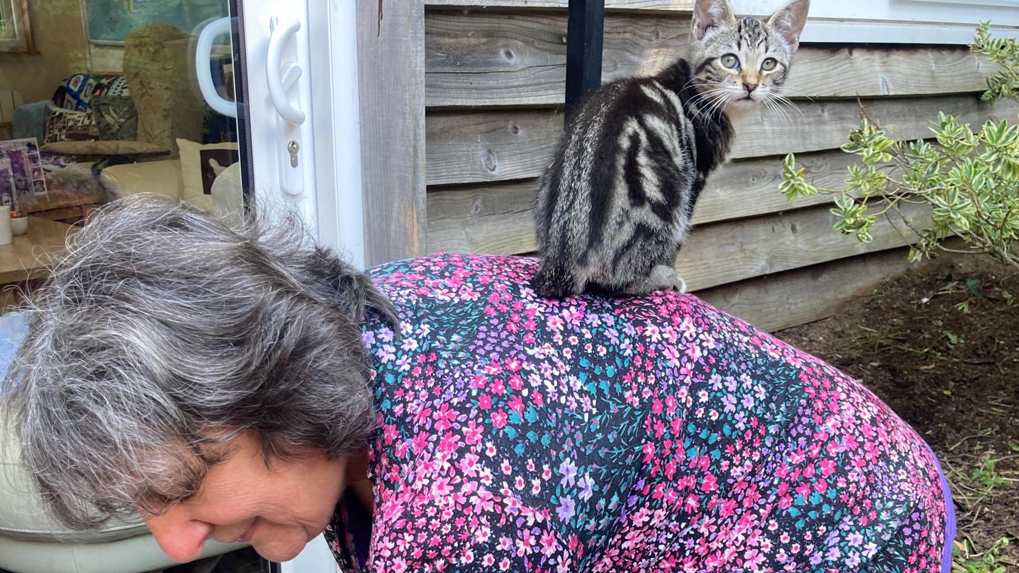 Customer Pippa Todd bends over with a tabby kitten balanced on her back