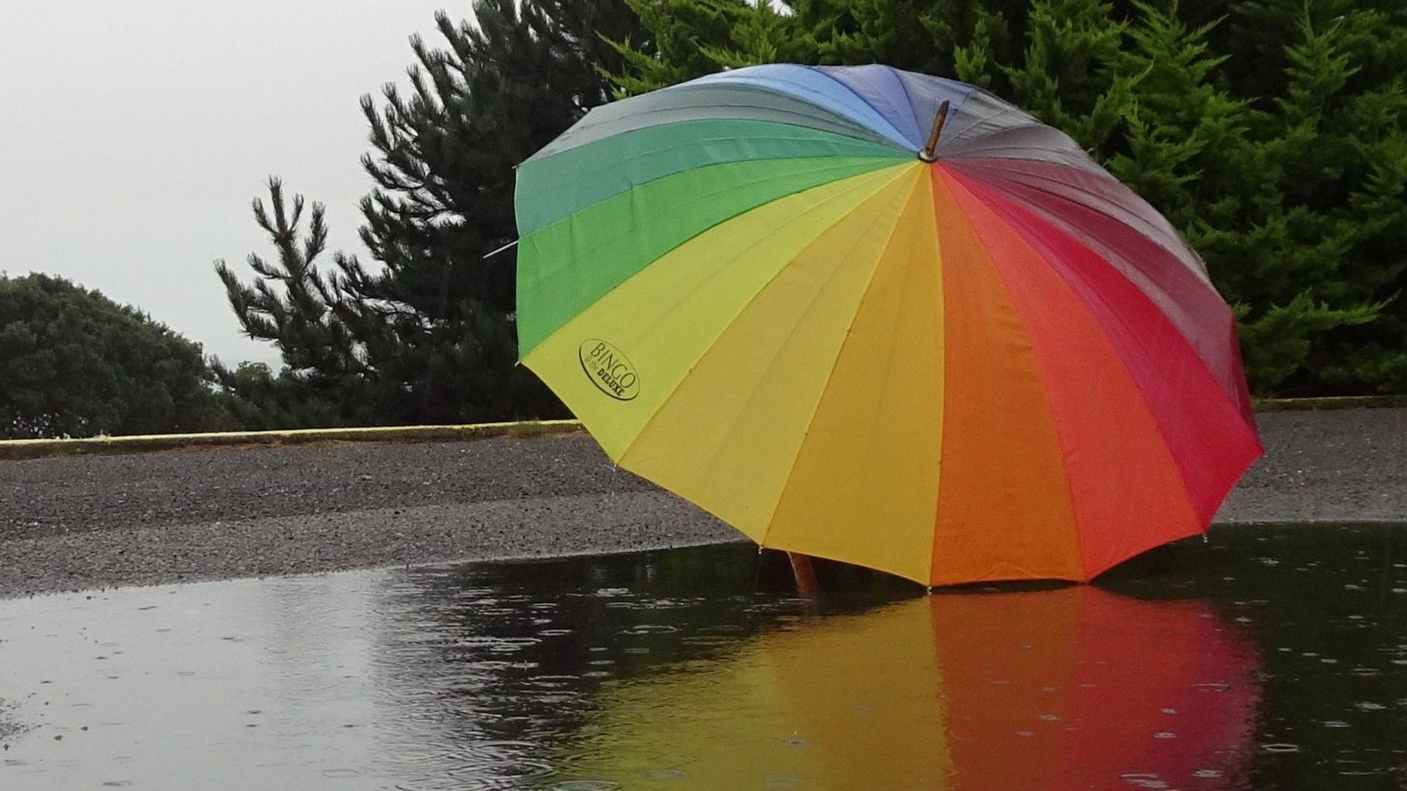 Multi-coloured umbrella sitting on the ground on the edge of a rain puddle