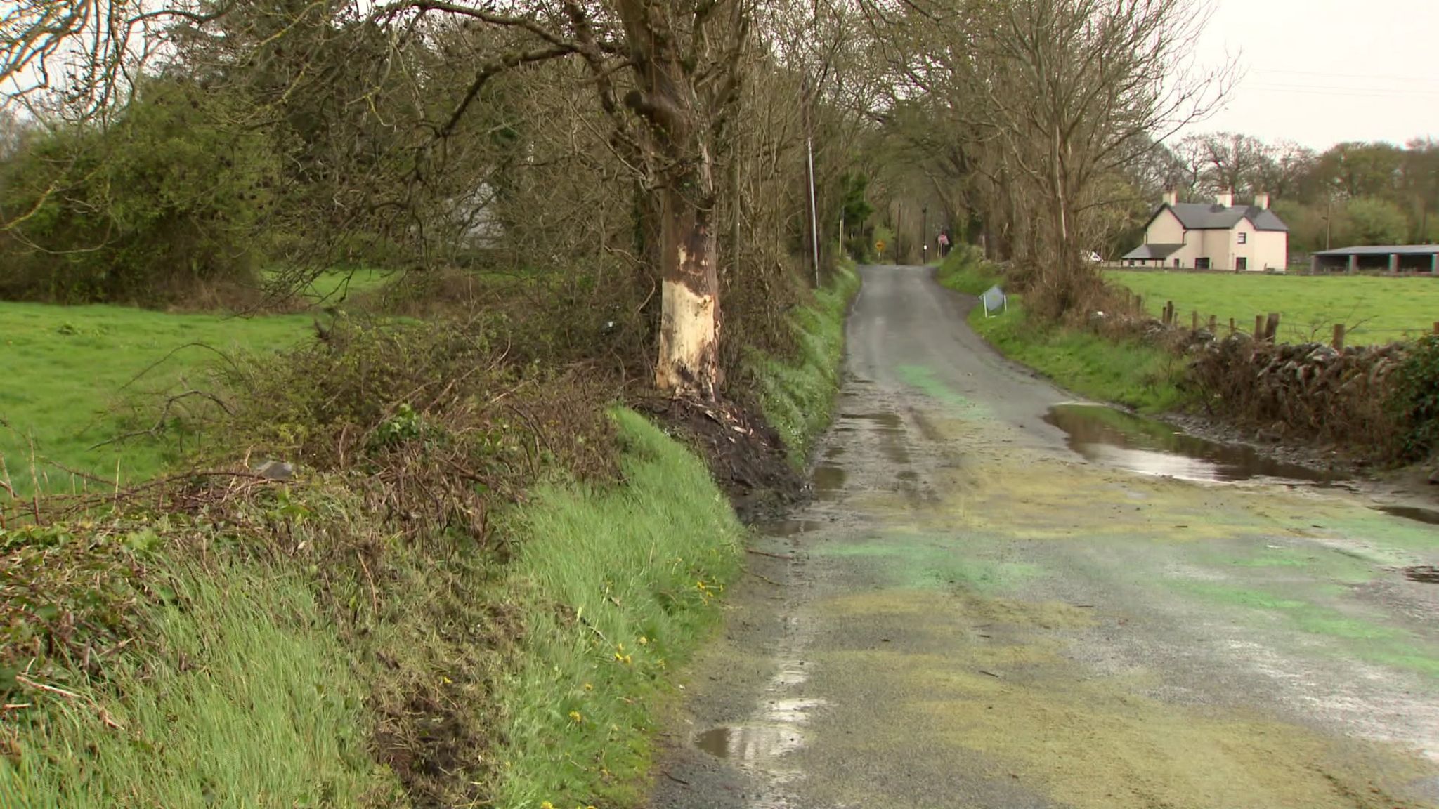 Galway Boy and girl, both 14, dead after car crash in Headford BBC News