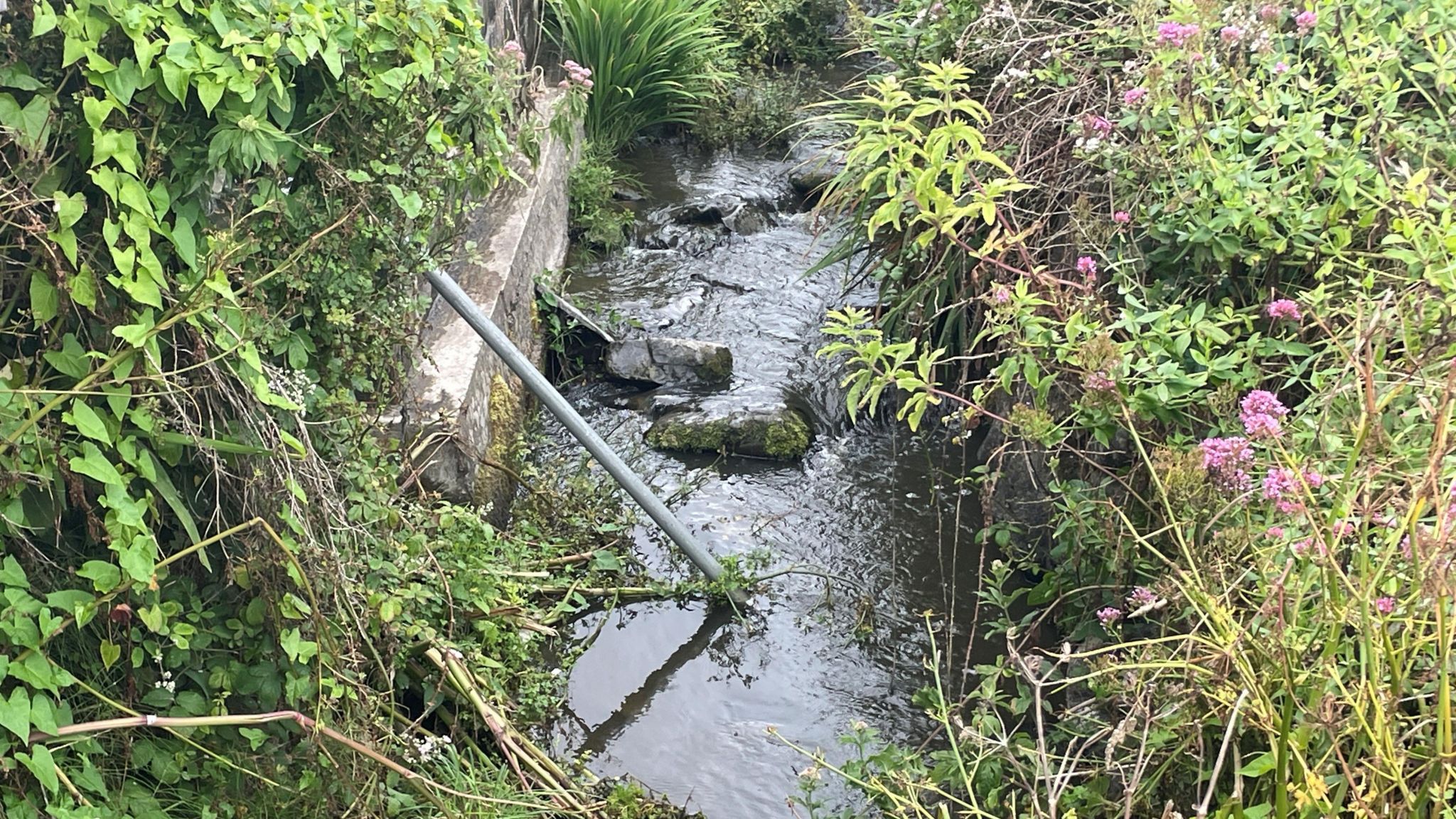 Afon Hawen yn Llangrannog