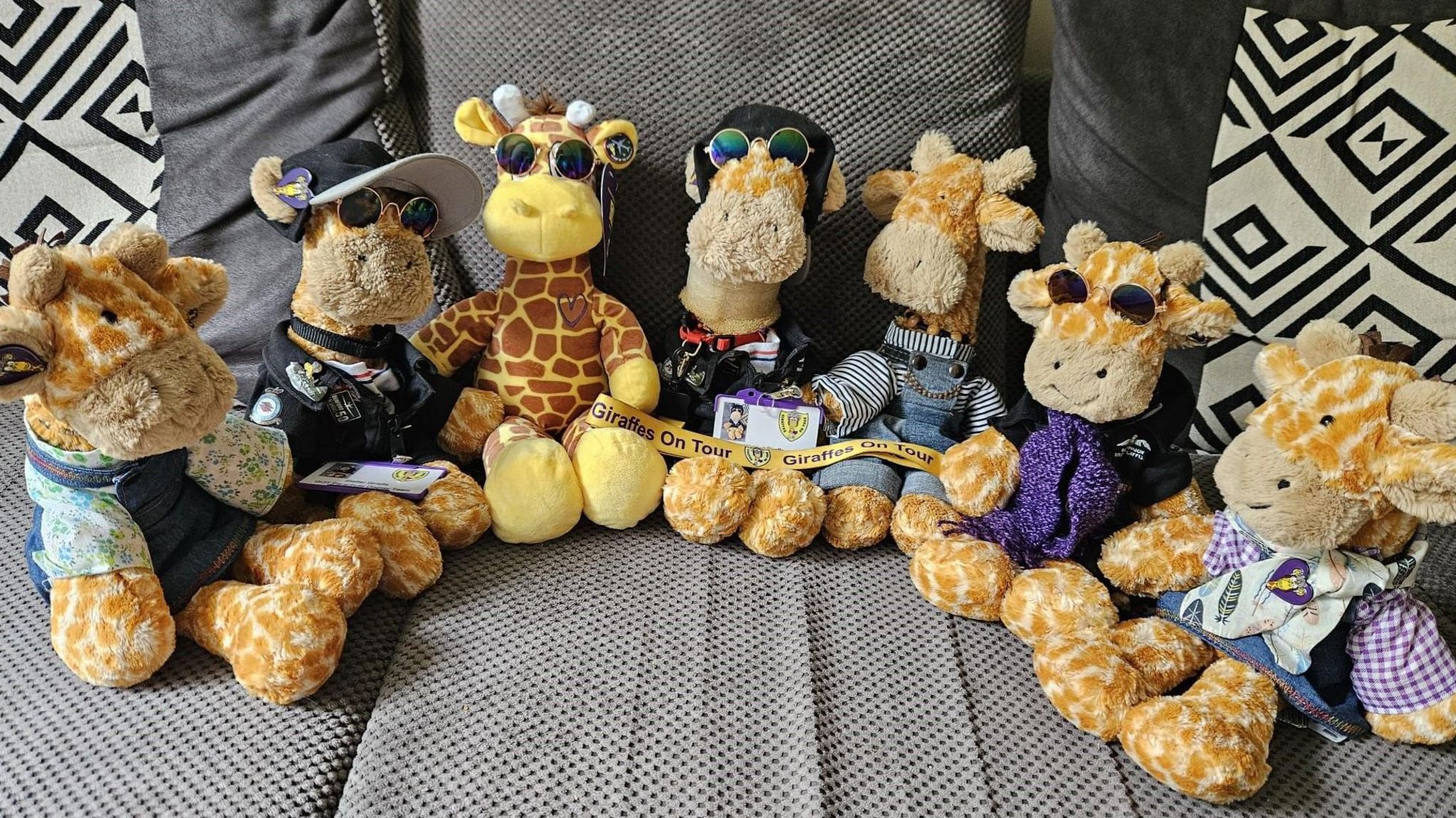 Seven toy giraffes sitting on a sofa 