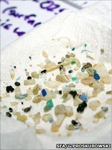 Study measures Atlantic plastic accumulation
