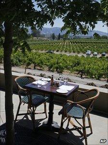 Empty table overlooking vineyard