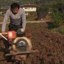 Qing ploughing