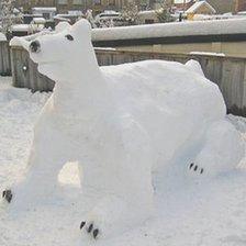 Snow polar bear in Builth Wells