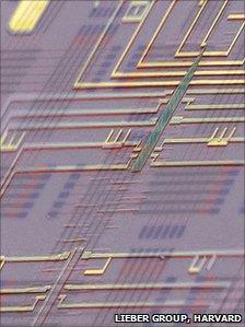 False colour SEM of nanowire chip (Lieber group, Harvard)