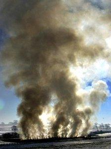 Animal carcases being burned