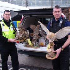 Pc Ian Thompson and wildlife office Mark Thomas with the seized taxidermy