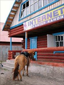 Horse outside internet cafe, Northern Mongolia