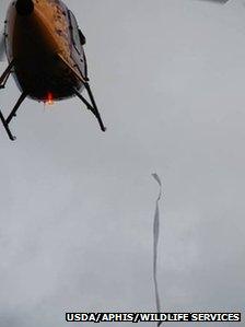 Helicopter dropping a toxic mouse