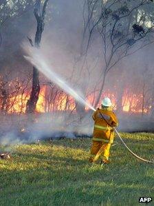 NSW Rural Fire Service worker sprays water on a bush fire at Green Point in New South Wales on 8 January 2013