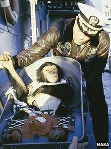 Ham being greeted after returning to Earth.