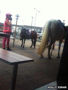 Horses outside McDonald's