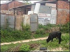 Maranhao state